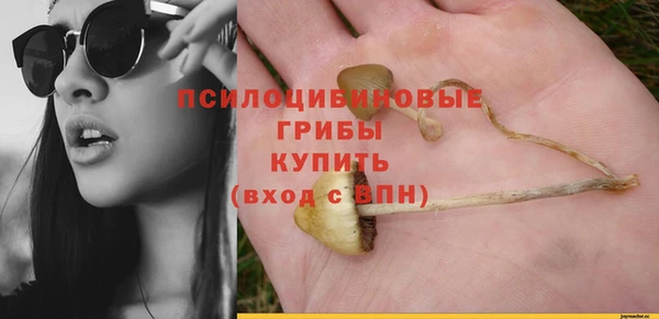 MDMA Premium VHQ Богородицк