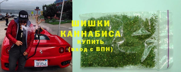 крисы Богородск