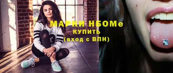 гашик Бронницы