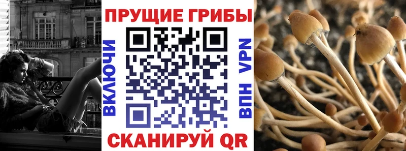 Псилоцибиновые грибы GOLDEN TEACHER  Новочеркасск 